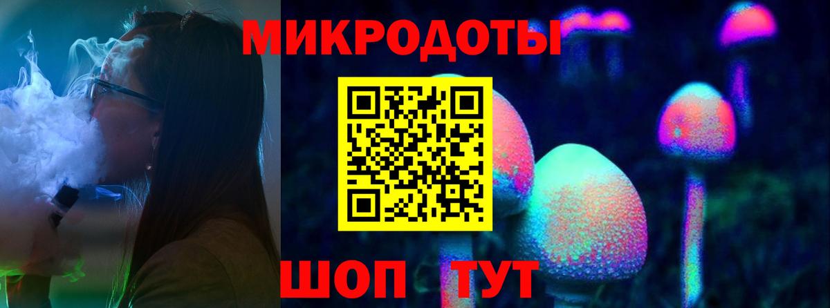 Псилоцибиновые грибы Psilocybine cubensis Пугачёв